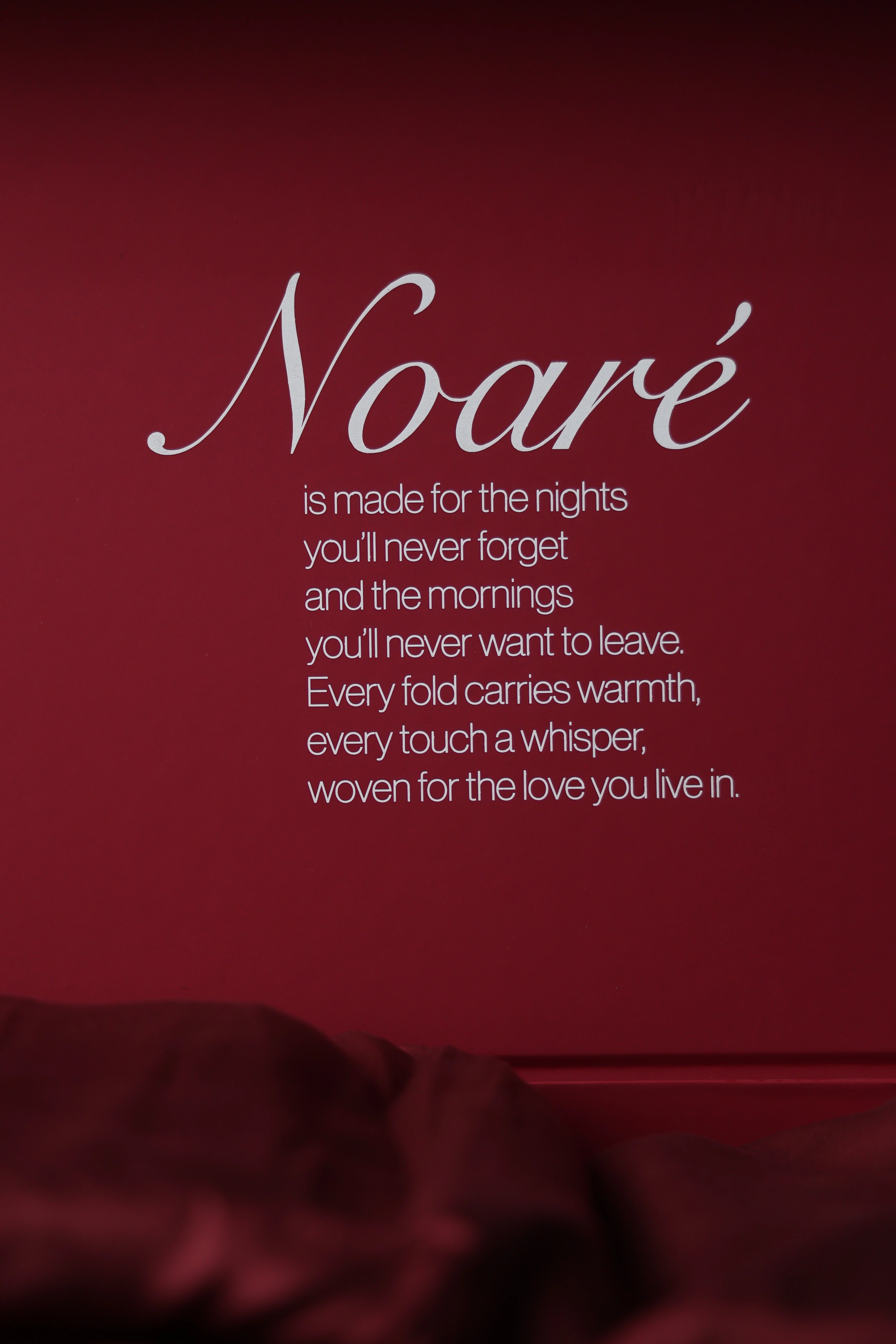 Wine Red Bedding Set